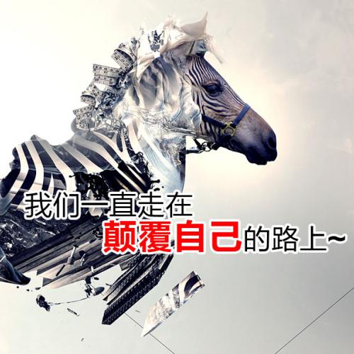 网络推广（宣传）