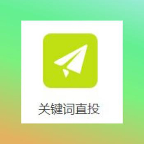 广告投放