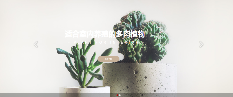 黄田企业网站建设服务_1。什么是搜索引擎