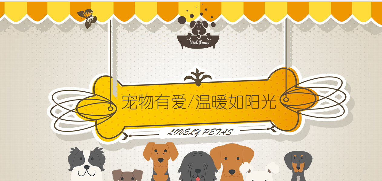 寻找友谊链接合作伙伴相对简单，互联网上有许多频道