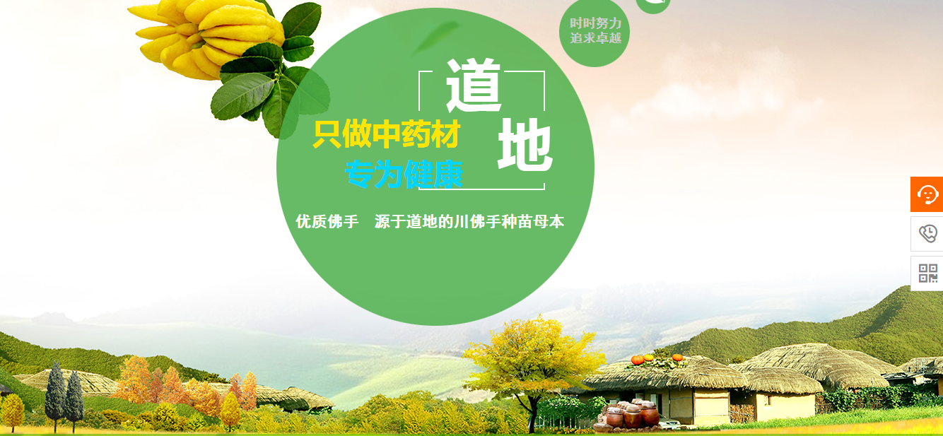 黄田服务专业企业网站建设服务_该网站的物理结构体现为服务器上的目录结构。