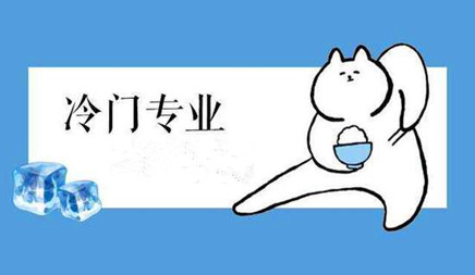 冷门行业该怎样做网站优化推广