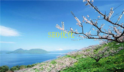 关于seo优化快速排名的谎言