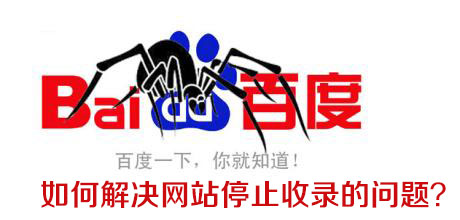 网站优化