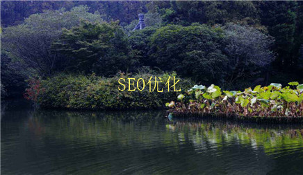 自学seo优化的方法